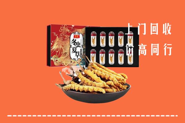 收购行情：商丘市回收虫草